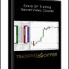 Emini SP Trading Secret Video Course