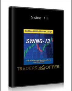 Nirvanasystems - Swing-13
