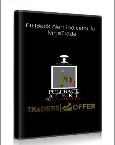 PullBack Alert Indicator for NinjaTrader