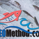 Harlan Kilstein – Reverse SEO Method 2017 OTO