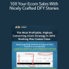 Viral Story Funnels - 10X Your Ecom Sales With Nicely Crafted DFY Stories