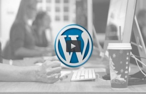 Leslie Stewart – Build Your Own Damn WordPress Theme!