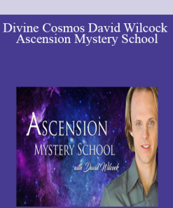 Divine Cosmos David Wilcock Ascension Mystery School