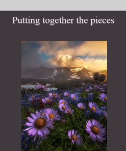 Putting together the pieces