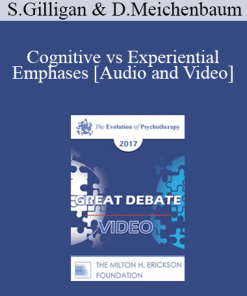 EP17 Great Debates 07 - Cognitive vs Experiential Emphases - Stephen Gilligan