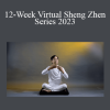 Master Li - 12-Week Virtual Sheng Zhen Series 2023