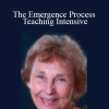 Patricia Ellsberg - The Emergence Process Teaching Intensive