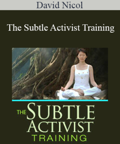 David Nicol - The Subtle Activist Training