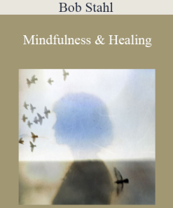 Bob Stahl - Mindfulness & Healing