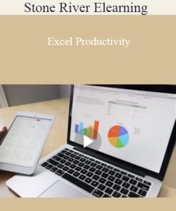 Stone River Elearning - Excel Productivity